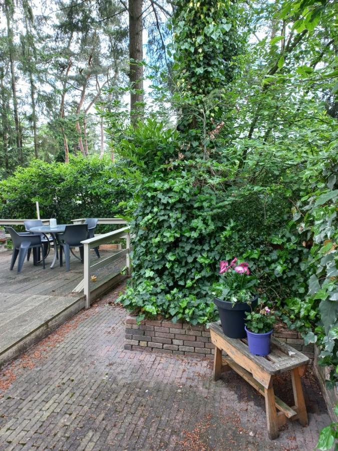 Chalet Vogelzang